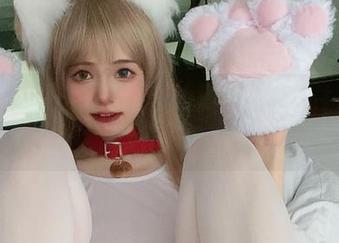在高清照片里，倦倦喵的夏日恰好停住了——你看见没？