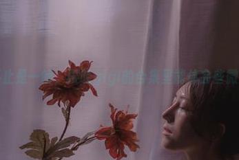 “窗前”不止是一帧，樱晚gigi的合集里能体会些微妙的气息。