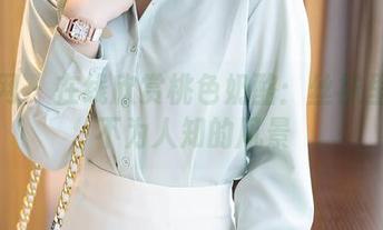 秀人网 - 在线欣赏桃色奶酪：丝袜里藏着不为人知的风景