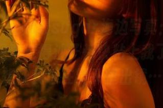 轰趴猫 - 杨晨晨sugar海边写真：不是我想多，是真觉得沙子都快粘上我了，私心想让我也在镜头里出镜…